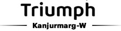 Project Logo 1