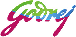 Project Logo 3